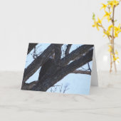 Carte Decorah North Eagles : La Lune du loup (Fleur jaune)