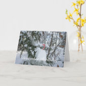 Carte Décoration sucre de canne-Décembre Anniversaire (Fleur jaune)