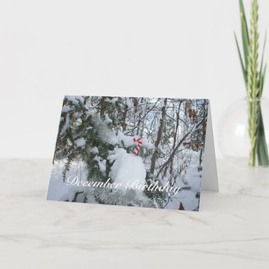 Carte Décoration sucre de canne-Décembre Anniversaire (Devant)