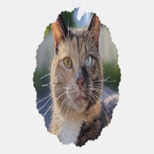 Carte Décorative Ajouter une Personnaliser photo de chat (Droite)