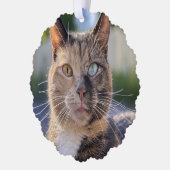 Carte Décorative Ajouter une Personnaliser photo de chat (Gauche)