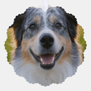 Carte Décorative Ajouter une Personnaliser photo pour animaux domes