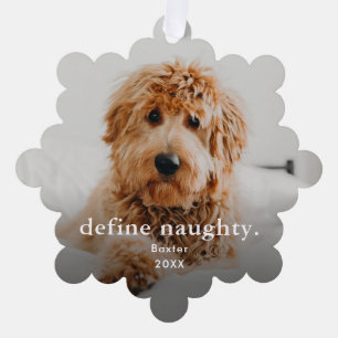 Carte Décorative Animal de compagnie drôle 2 Photo Noël Vacances