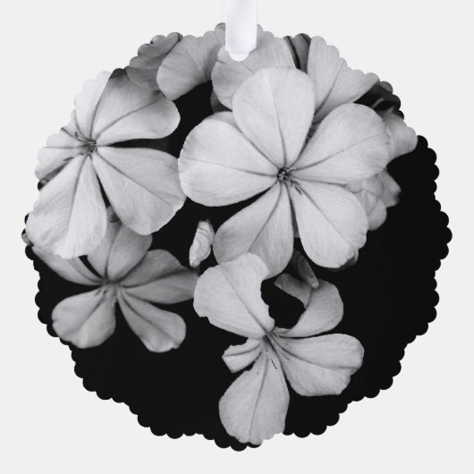 Carte Décorative b&w Plumbago (Verso)
