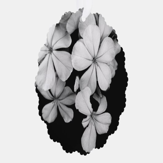 Carte Décorative b&w Plumbago (Droite)