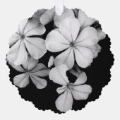 Carte Décorative b&w Plumbago (Recto)