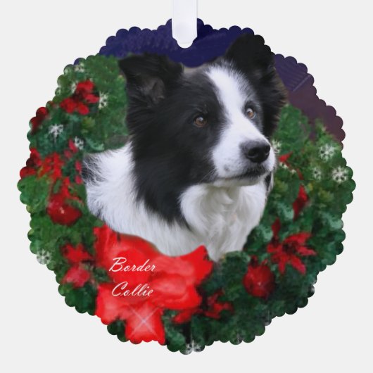 Carte Décorative Bordure Collie Noël Salutations (Recto)