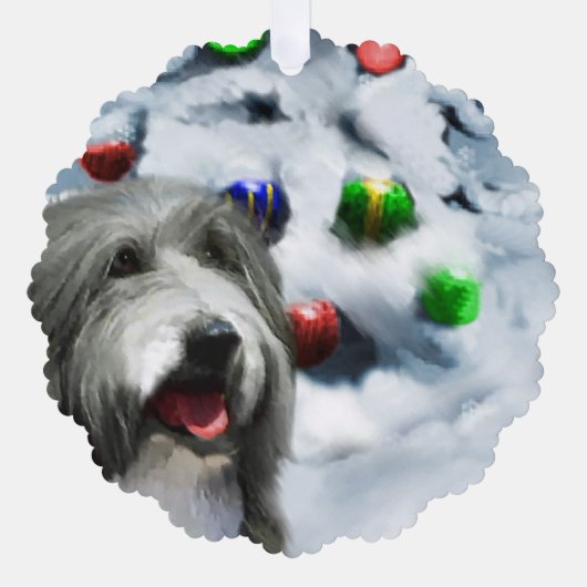 Carte Décorative Cadeaux de Noël de Collie (Recto)