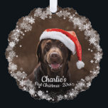 Carte Décorative Chien mignon chiot animal de compagnie premier Noë<br><div class="desc">Chien mignon chiot animal de compagnie premier Noël photo Flocon de neige carte d'ornement</div>