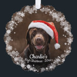 Carte Décorative Chien mignon chiot animal de compagnie premier Noë<br><div class="desc">Chien mignon chiot animal de compagnie premier Noël photo Flocon de neige carte d'ornement</div>