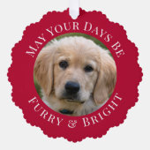 Carte Décorative Christmas Fury Bright Pet Photo Red Holiday (Recto)