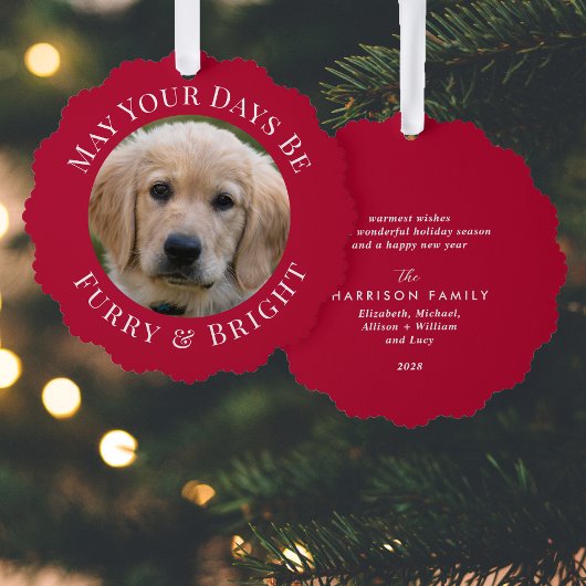 Carte Décorative Christmas Fury Bright Pet Photo Red Holiday