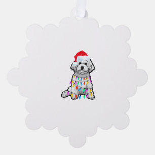 Carte Décorative Correspondance Pyjama T Chemise Bichon Frise Chien