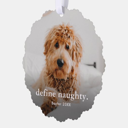 Carte Décorative Funny Pet 2 Photo Noël (Gauche)