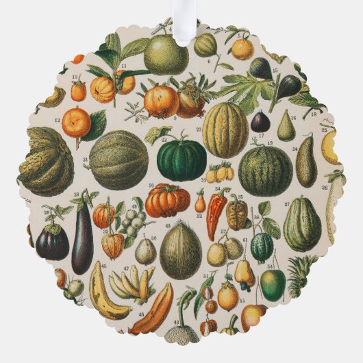 Carte Décorative Illustration scientifique végétale des fruits (Verso)