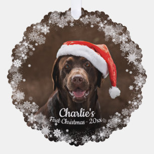 Carte Décorative Joli chien chiot animal familier premier Noël phot