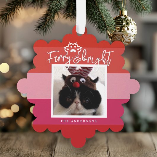 Carte Décorative Noël Animaux de compagnie Photo Red Stripes