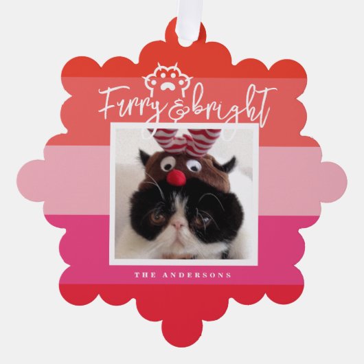 Carte Décorative Noël Animaux de compagnie Photo Red Stripes (Recto)