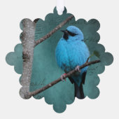 Carte Décorative Oiseau bleu sur support mixte (Verso)