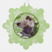 Carte Décorative Peinture originale d'un chiot Keeshond dans le jar (Recto)