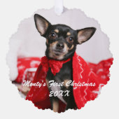 Carte Décorative Pet Premier Noël (Recto)