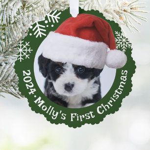 Carte Décorative Photo de chien Santa Hat Livre vert de Noël