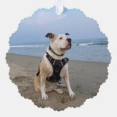 Carte Décorative Photo de souvenir de compagnie mémorial rustique (Verso)