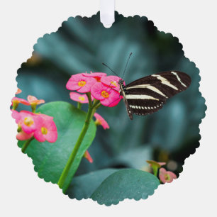 Carte Décorative Photographie de papillon sur fleur rose