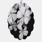 Carte Décorative Plumbago n&b (Gauche)