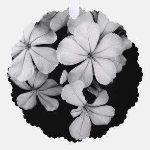 Carte Décorative Plumbago n&b