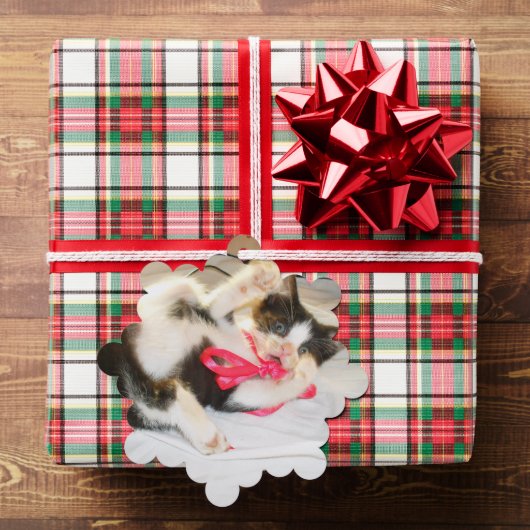 Carte Décorative Texte de photo de chaton, étiquette cadeau, flocon (Insitu (Cadeau))