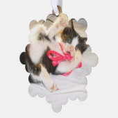 Carte Décorative Texte de photo de chaton, étiquette cadeau, flocon (Gauche)