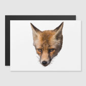 Carte découpée face renard mignonne (Devant / Derrière)