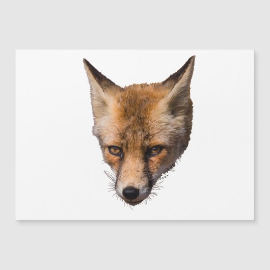 Carte découpée face renard mignonne (Devant)
