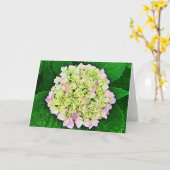 Carte d'écriture Hydrangea 1 Timothy 1:14 (Fleur jaune)