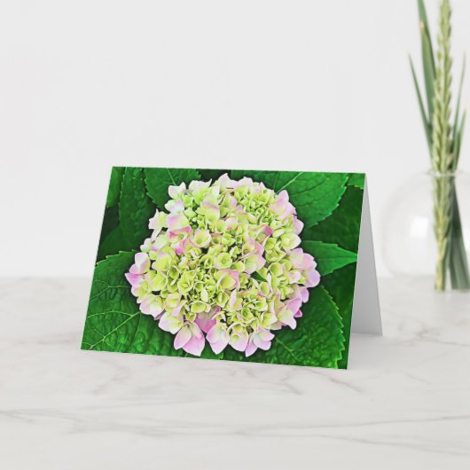 Carte d'écriture Hydrangea 1 Timothy 1:14 (Devant)