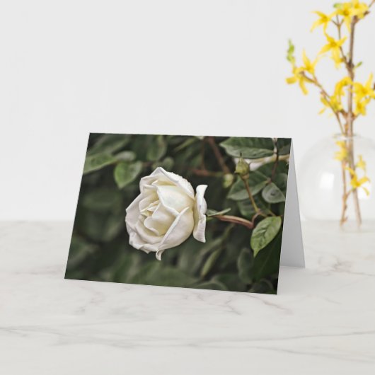 Carte d'écriture Rose blanche et pure Philippiens  (Fleur jaune)