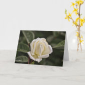 Carte d'écriture rose blanche Proverbes 3 (Fleur jaune)