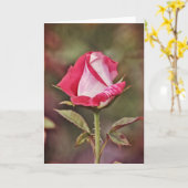 Carte d'écriture Rose de haute qualité Psaume 33:1 (Fleur jaune)