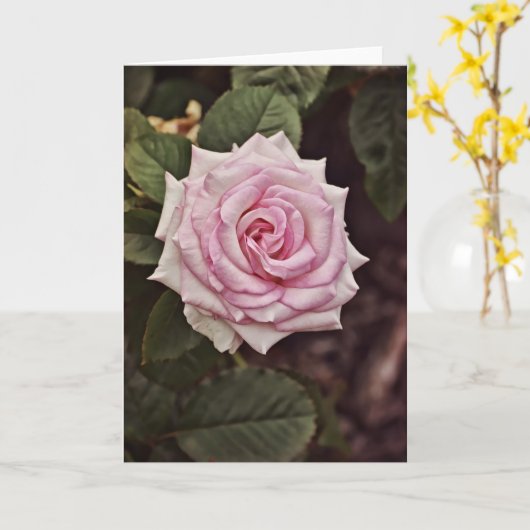 Carte d'écriture Rose majestueuse Psaume 93:1 (Fleur jaune)