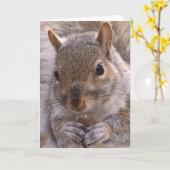 Carte d'écureuil (Fleur jaune)