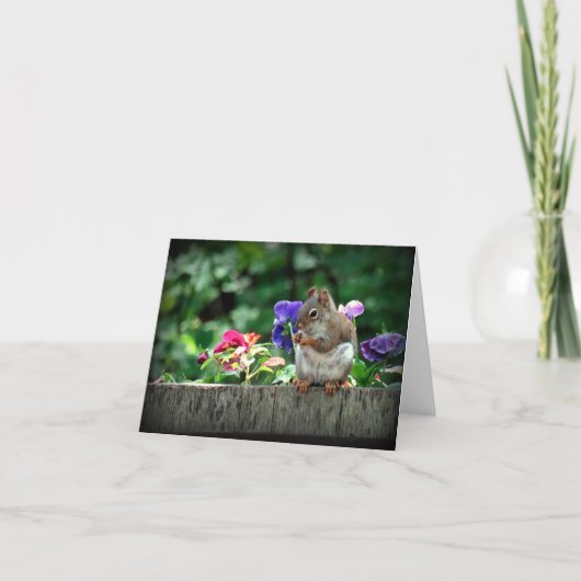 Carte d'écureuil (Devant)