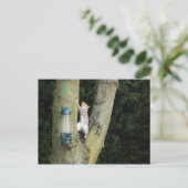 Carte d'écureuil gris (Debout devant)