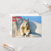 Carte d'écureuil gris personnalisable (Devant/Arrière en situation)