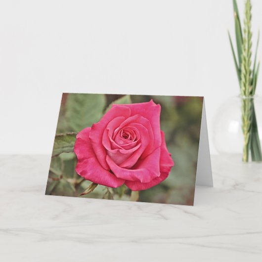 Carte Deep Rose Art Card (Devant)