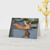 Carte Deer Fawn | Minnesota (Fleur jaune)