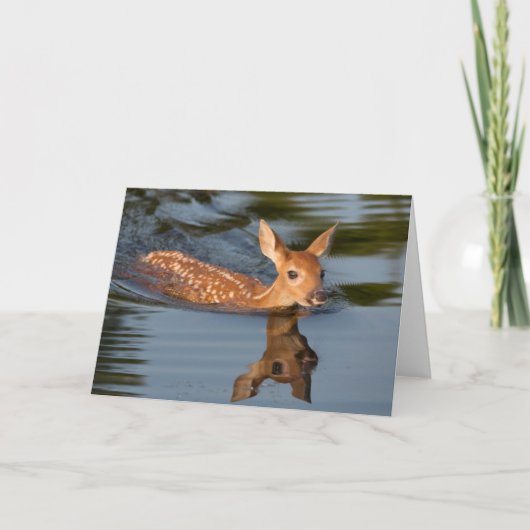 Carte Deer Fawn | Minnesota (Devant)