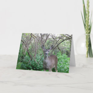 Carte Deer in Woods Get Well Bientôt