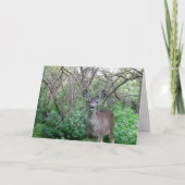 Carte Deer in Woods Get Well Bientôt (Devant)