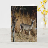 Carte Deer Me Get Well Card Featuring a Beautiful Doe (Fleur jaune)